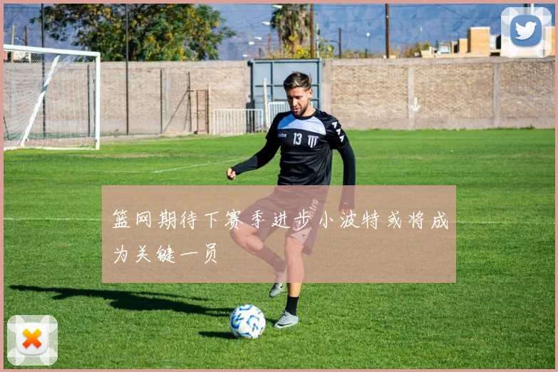 篮网期待下赛季进步小波特或将成为关键一员