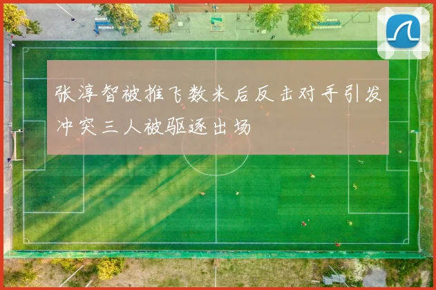 张淳智被推飞数米后反击对手引发冲突三人被驱逐出场